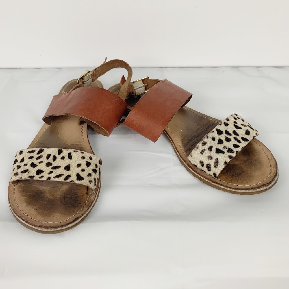 Callisto Avishi Calf Leoard & Leather Sandal sz 7